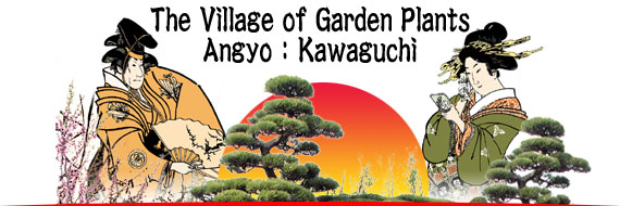 The Village of Garden Plants Angyo:Kawaguchi