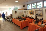 展示会