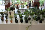 展示会