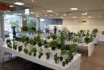 展示会