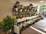 展示会