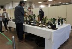 展示会