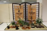 展示会
