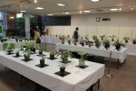 展示会