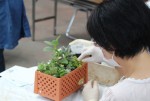 講習会・教室