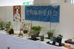 展示会