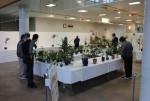展示会
