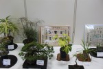 展示会