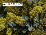 歳時記