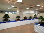 展示会