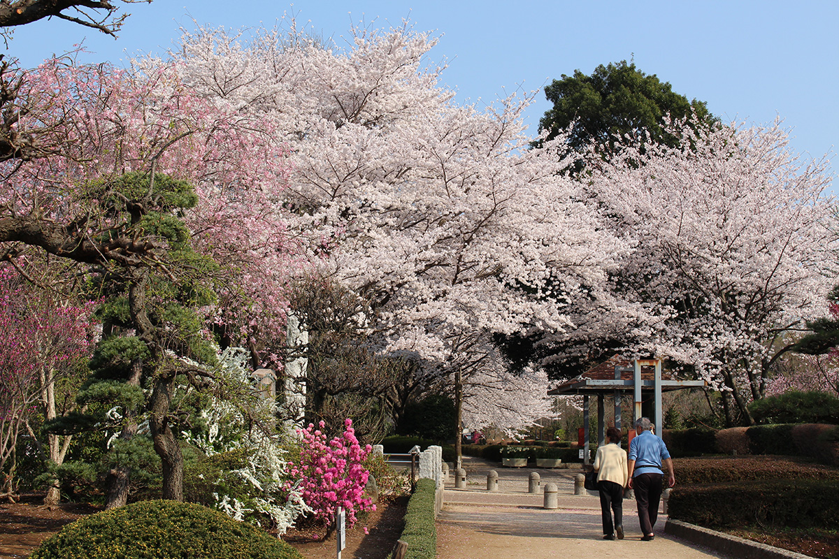 赤山城址