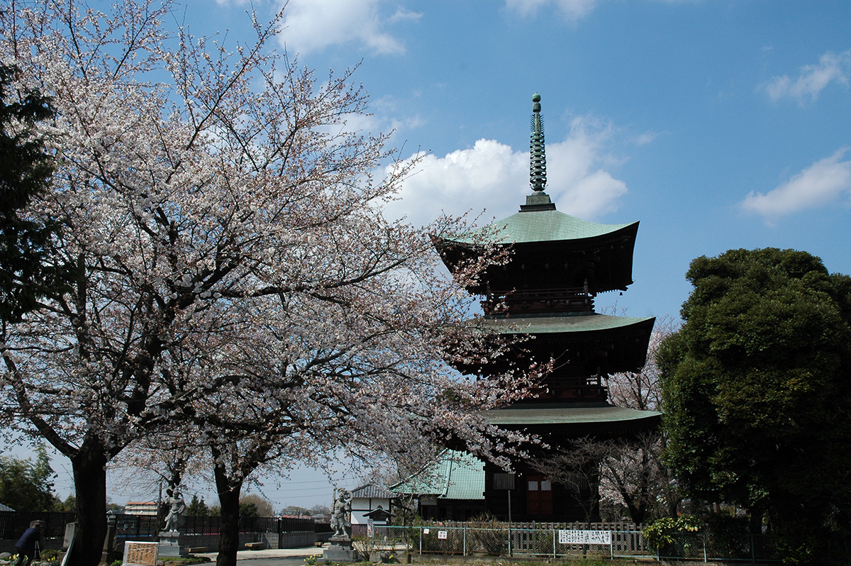 西福寺